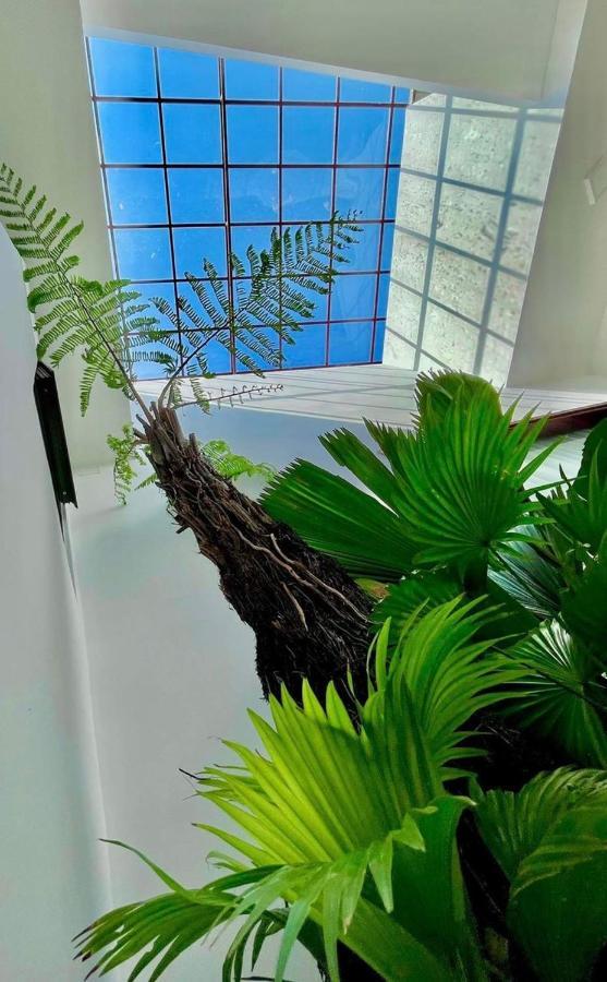 Lala Citadel Homestay フエ エクステリア 写真